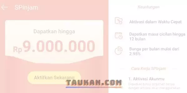 Shopee Pinjam (SPinjam) - kta online proses cepat - Taukan.com