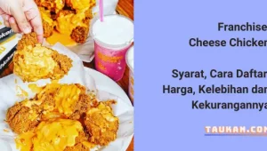 Franchise Cheese Chicken, Syarat, Cara Daftar, Harga dan Kelebihannya