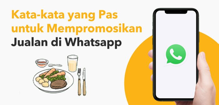 Broadcast promosi di wa whatsapp