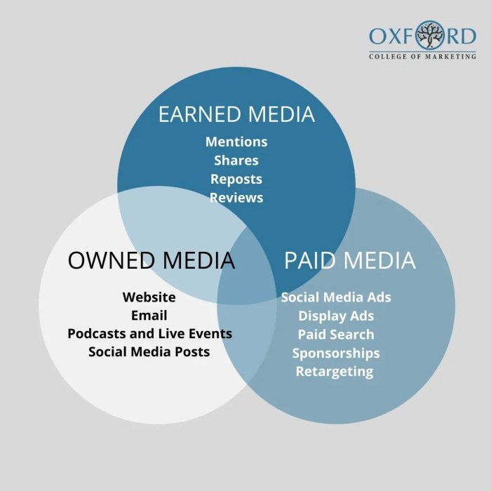 Pahami Perbedaan: Paid Media, Owned Media, dan Earned Media