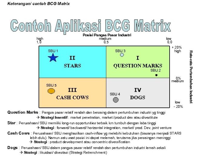 Pengertian matrix bcg untuk analisis