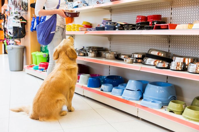 Tips bisnis pet shop