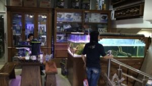 Cek toko aquascape palembang terdekat